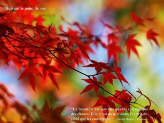 Suivant le point de vue “ La beauté n’est pas une qualité intrinsèque des choses. Elle n’existe que dans l’esprit de celui qui les contemple.”  David Hume – Ecosse - 