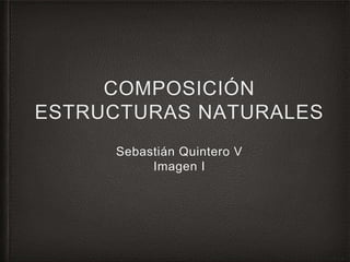 COMPOSICIÓN
ESTRUCTURAS NATURALES
Sebastián Quintero V
Imagen I
 
