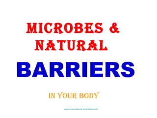 MICROBES & NATURAL  BARRIERS IN YOUR BODY www.sciencetutors.zoomshare.com   