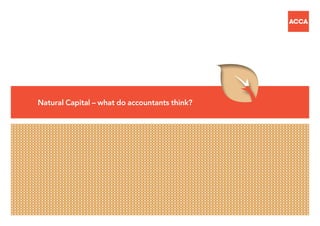 Natural Capital – what do accountants think?
 