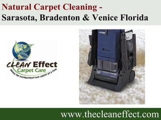 www.thecleaneffect.com Natural Carpet Cleaning -  Sarasota, Bradenton & Venice Florida 