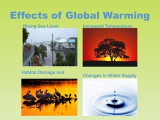 Effects of Global Warming
Rising Sea Level

Habitat Damage and

Increased Temperature

Changes in Water Supply

 