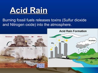 Acid Rain
Burning fossil fuels releases toxins (Sulfur dioxide
and Nitrogen oxide) into the atmosphere.

 