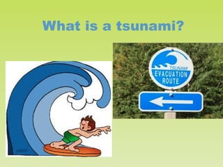 What is a tsunami?

 