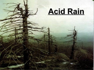 Acid Rain

 