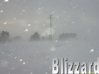 Blizzard