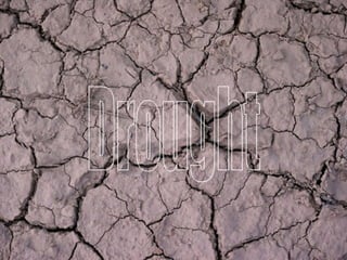 Drought