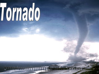 Tornado