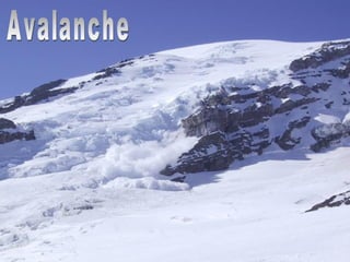 Avalanche