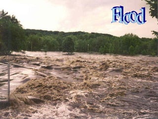Flood