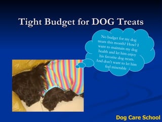 Tight Budget for DOG Treats No budget for my dog treats this month? How? I want to maintain my dog health and let him enjoy his favorite dog treats. And don’t want to let him feel miserable Dog Care School 