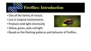 Fireflies: Introduction
• One of the family of insects.
• Live in tropical environment.
• Produce-cold light-chemically
• ...