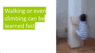 5
Walking or even
climbing can be
learned fast
 
