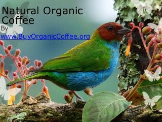 By
www.BuyOrganicCoffee.org
Natural Organic
Coffee
 
