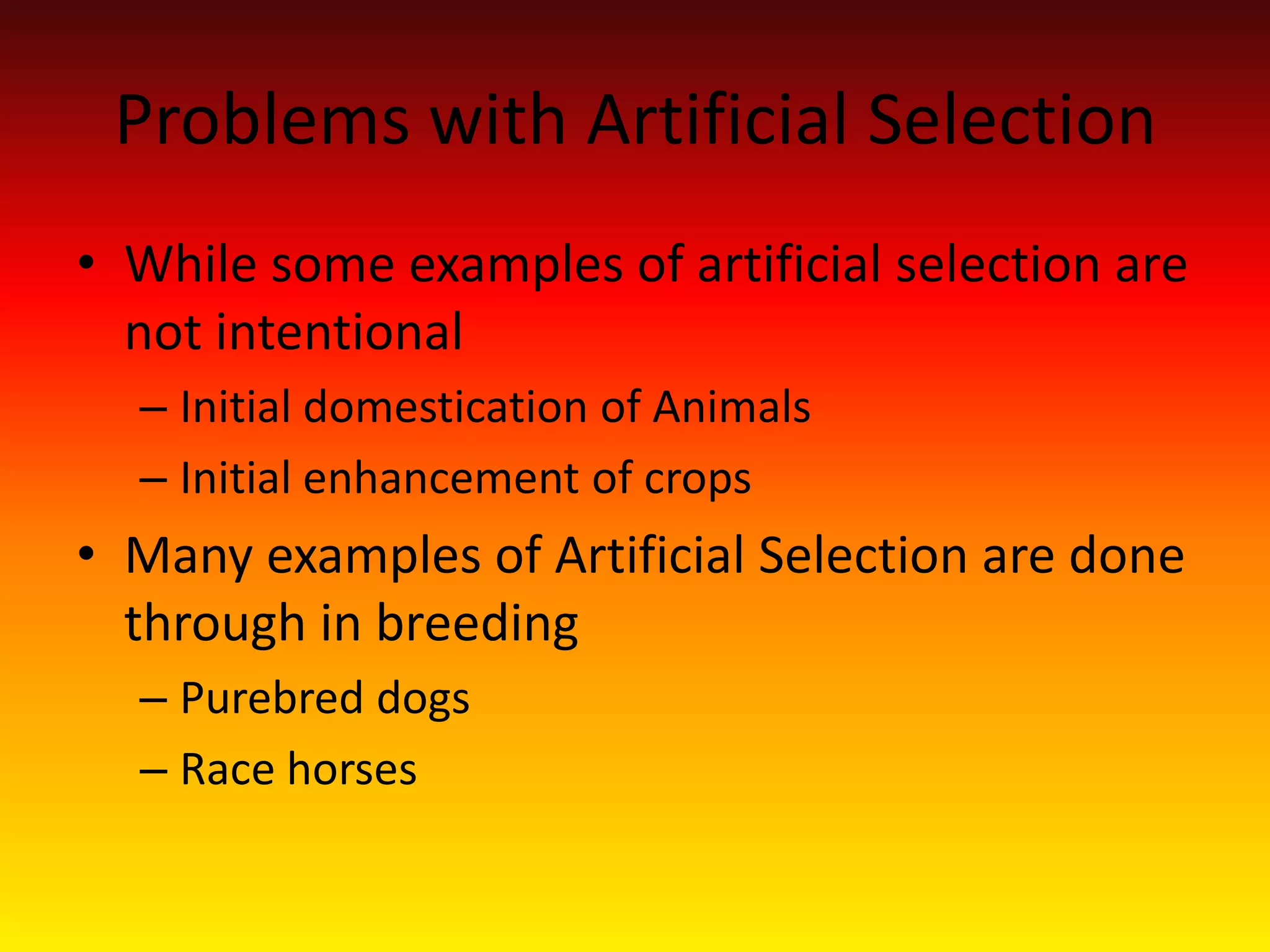 Problems with Artificial Selection While some examples of artificial selection are not intentional Initial domestication of AnimalsInitial enhancement of cropsMany examples of Artificial Selection are done through in breeding Purebred dogsRace horses 