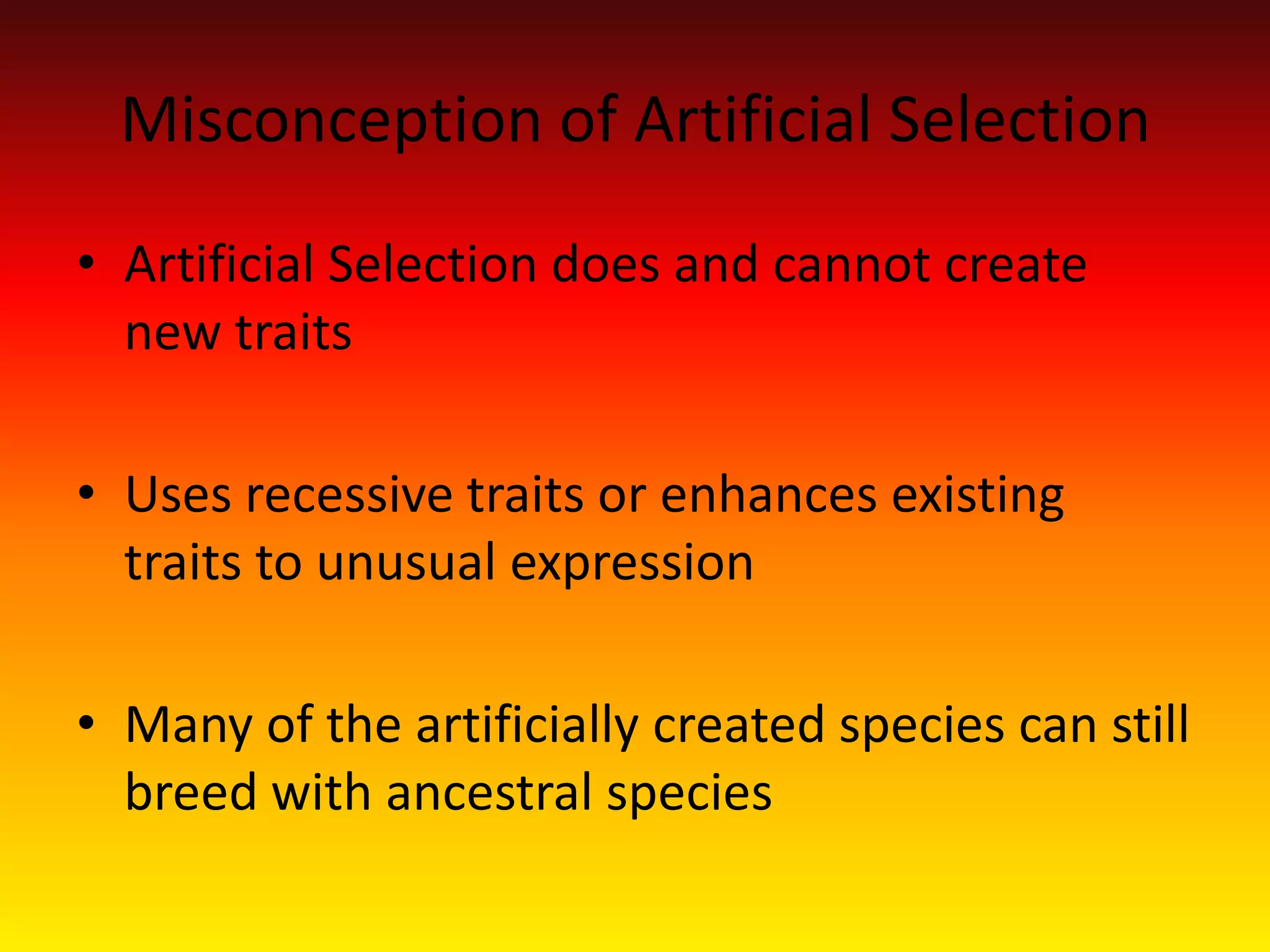 Misconception of Artificial Selection Artificial Selection does and cannot create new traitsUses recessive traits or enhances existing traits to unusual expression Many of the artificially created species can still breed with ancestral species  