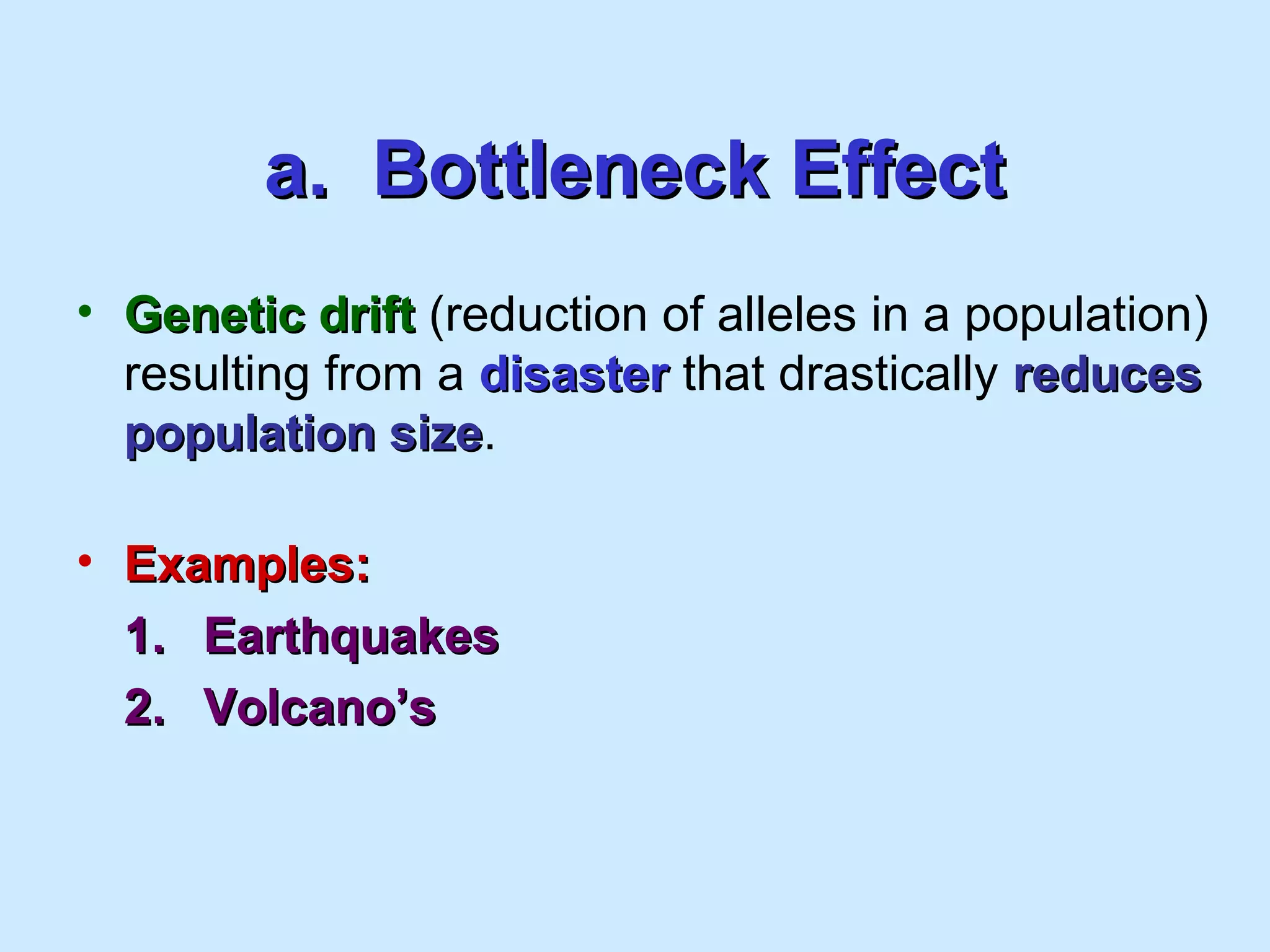 a. Bottleneck Effecta. Bottleneck Effect
• Genetic driftGenetic drift (reduction of alleles in a population)
resulting from a disasterdisaster that drastically reducesreduces
population sizepopulation size.
• Examples:Examples:
1.1. EarthquakesEarthquakes
2.2. Volcano’sVolcano’s
 
