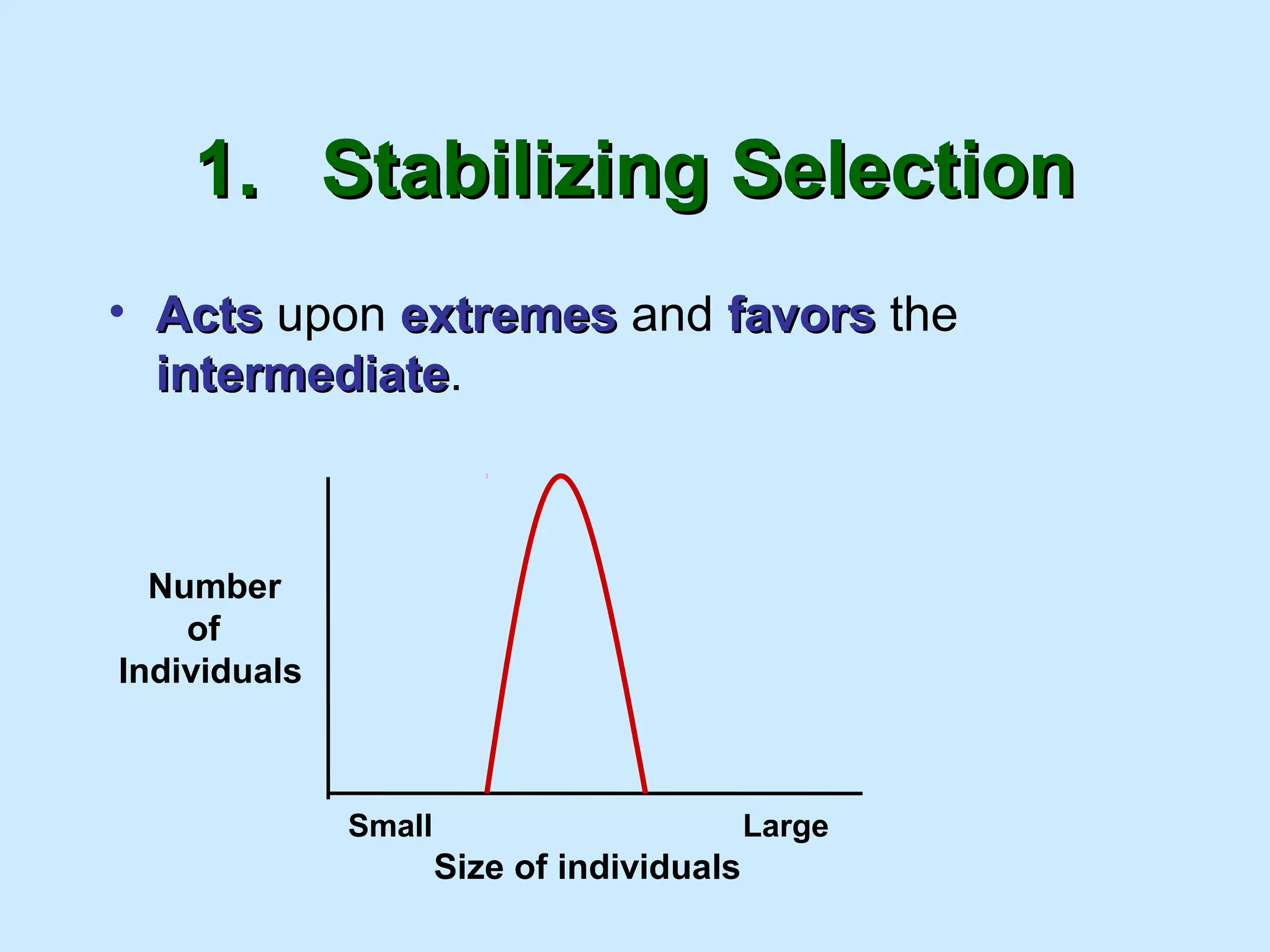 1.1. Stabilizing SelectionStabilizing Selection
• ActsActs upon extremesextremes and favorsfavors the
intermediateintermediate.
Number
of
Individuals
Size of individuals
Small Large
 