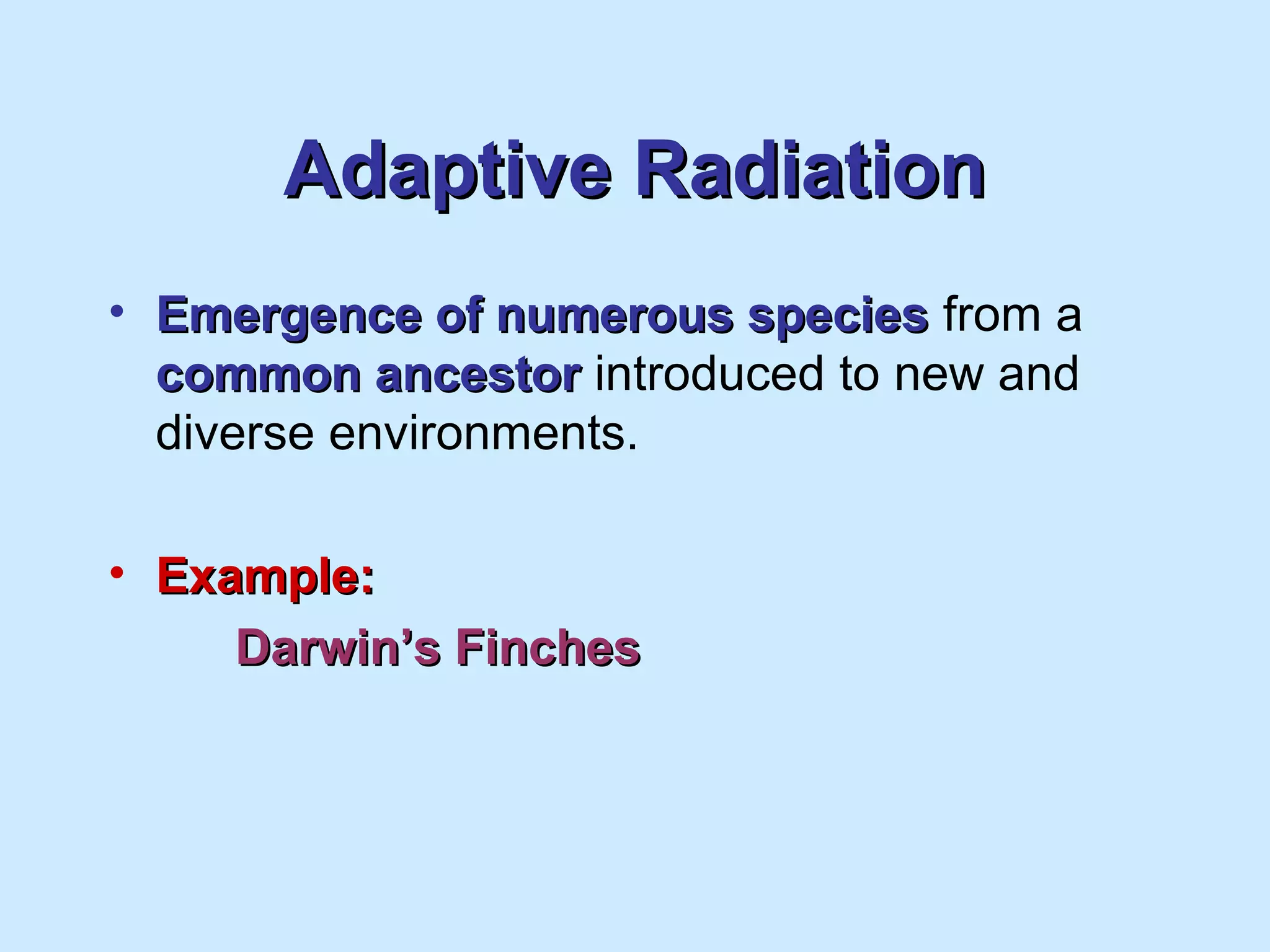 Adaptive RadiationAdaptive Radiation
• Emergence of numerous speciesEmergence of numerous species from a
common ancestorcommon ancestor introduced to new and
diverse environments.
• Example:Example:
Darwin’s FinchesDarwin’s Finches
 