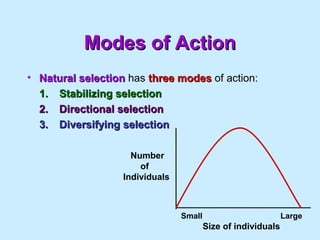 Modes of ActionModes of Action
• Natural selectionNatural selection has three modesthree modes of action:
1.1. Stabilizing...