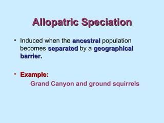 Allopatric SpeciationAllopatric Speciation
• Induced when the ancestralancestral population
becomes separatedseparated by ...