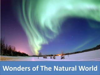 Wonders of The Natural World
 