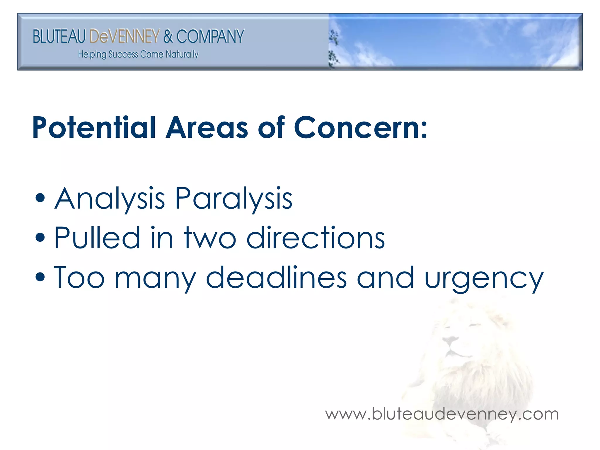 Potential Areas of Concern: Analysis Paralysis Pulled in two directions Too many deadlines and urgency 