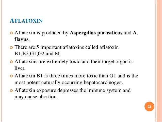Aflatoxin Natural Treatment Aflatoxin Natural Treatment