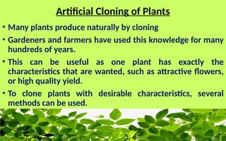 Natural and Artificial Cloning of Plants.pptx