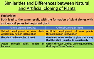 Natural and Artificial Cloning of Plants.pptx