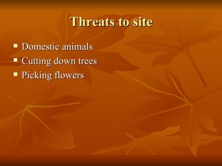 Threats to site Domestic animals Cutting down trees Picking flowers 