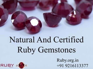 Natural And Certified
Ruby Gemstones
Ruby.org.in
+91 9216113377
 