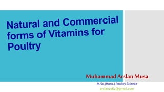 Muhammad Arslan Musa
M.Sc.(Hons.) Poultry Science
arslan2062@gmail.com
 