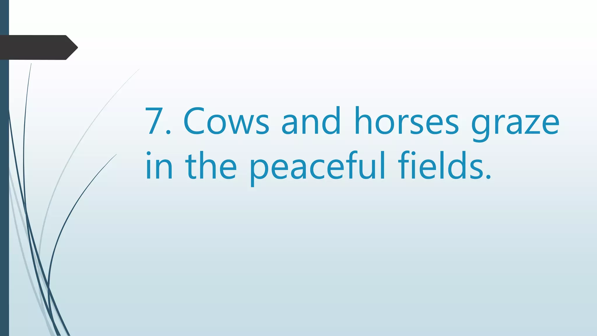 7. Cows and horses graze
in the peaceful fields.
 
