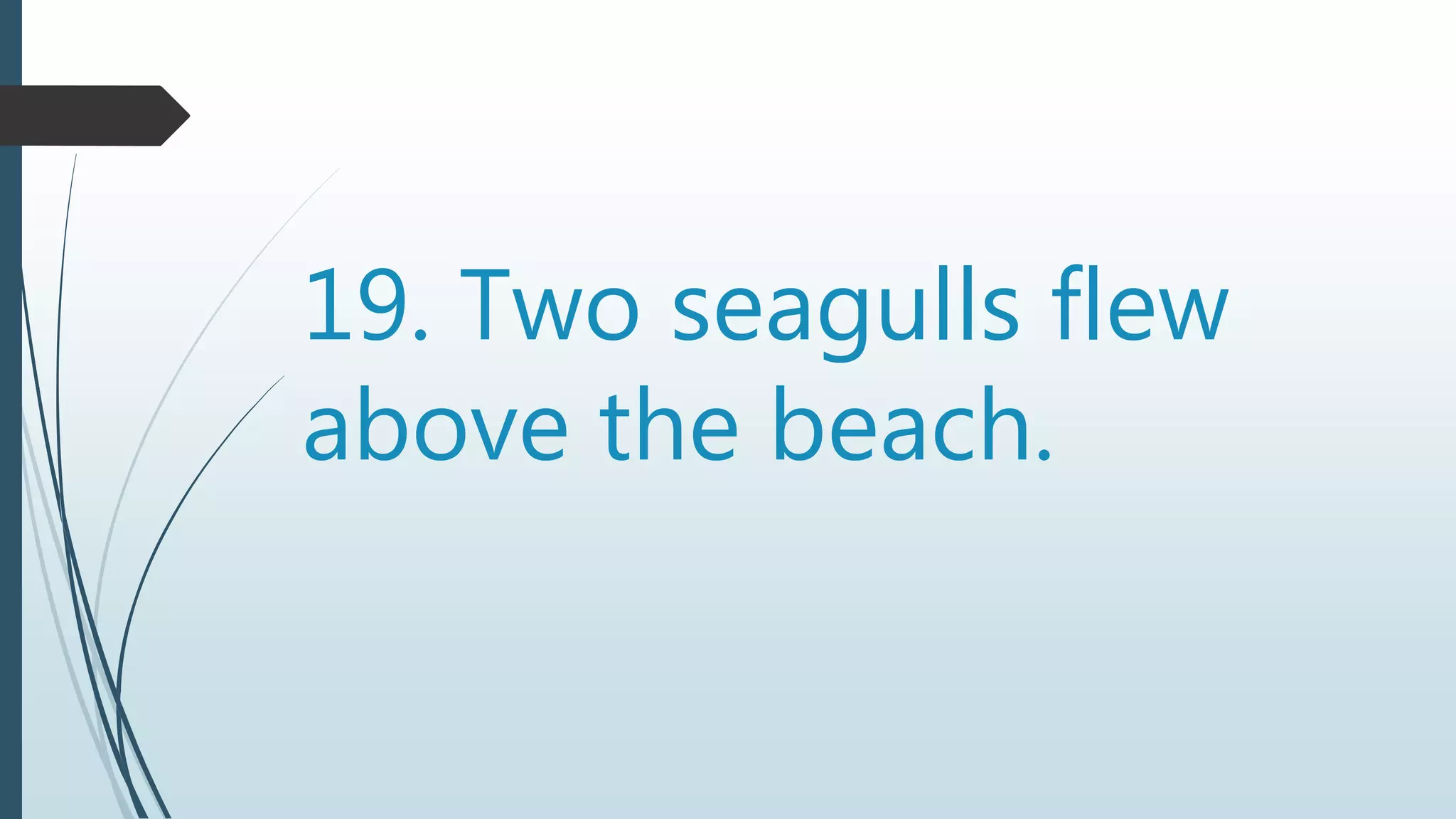 19. Two seagulls flew
above the beach.
 