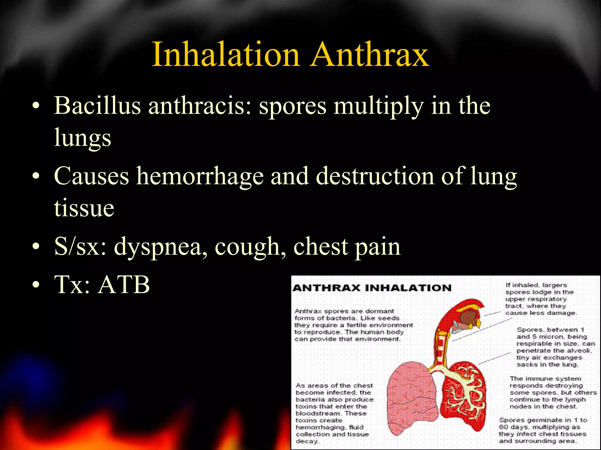 Inhalation Anthrax
• Bacillus anthracis: spores multiply in the
lungs
• Causes hemorrhage and destruction of lung
tissue
• S/sx: dyspnea, cough, chest pain
• Tx: ATB

3

 