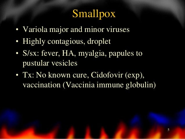 Canned Food Virus Die Canned Food Virus Die