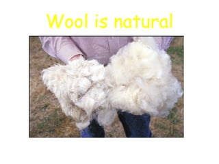 Wool is natural
 