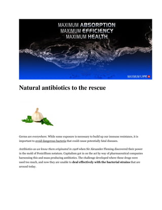 Natural antibiotics to the rescue




Germs are everywhere. While some exposure is necessary to build up our immune resistance, it is
important to avoid dangerous bacteria that could cause potentially fatal diseases.

Antibiotics as we know them originated in 1928 when Sir Alexander Fleming discovered their power
in the mold of Penicillium notatum. Capitalism got in on the act by way of pharmaceutical companies
harnessing this and mass producing antibiotics. The challenge developed where these drugs were
used too much, and now they are unable to deal effectively with the bacterial strains that are
around today.
 