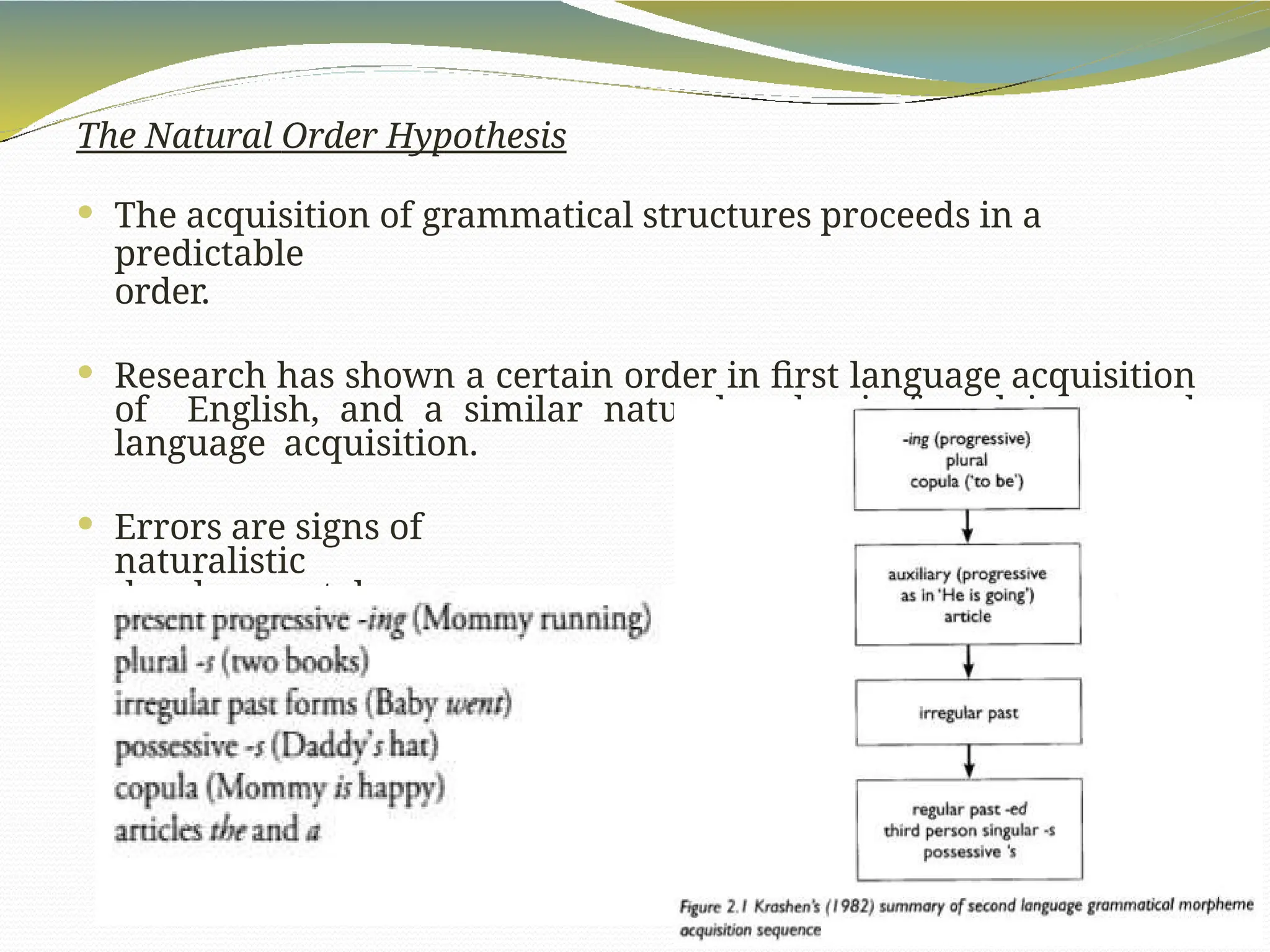 The Natural Order Hypothesis
 The acquisition of grammatical structures proceeds in a
predictable
order.
 Research has shown a certain order in first language acquisition
of English, and a similar natural order is found in second
language acquisition.
 Errors are signs of
naturalistic
developmental processes.
 