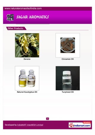 Other Products:




                  Davana              Cinnamon Oil




        Natural Eucalyptus Oil        Turpineol Oil




                                 12
 