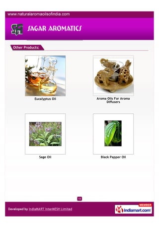 Other Products:




            Eucalyptus Oil        Aroma Oils For Aroma
                                       Diffusers




               Sage Oil             Black Papper Oil




                             13
 