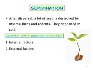  After dispersal, a lot of seed is destroyed by
insects, birds and rodents. They deposited in
soil.
1. Internal factors
2. External factors
10
GERMINATIONGERMINATIONGERMINATIONGERMINATION
GERMINATION OF SEED DEPENDS UPONGERMINATION OF SEED DEPENDS UPON
 