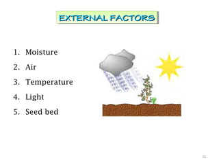 1. Moisture
2. Air
3. Temperature
4. Light
5. Seed bed
15
EXTERNAL FACTORSEXTERNAL FACTORSEXTERNAL FACTORSEXTERNAL FACTORS
 