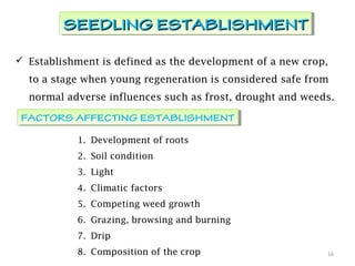  Establishment is defined as the development of a new crop,
to a stage when young regeneration is considered safe from
normal adverse influences such as frost, drought and weeds.
16
SEEDLING ESTABLISHMENTSEEDLING ESTABLISHMENTSEEDLING ESTABLISHMENTSEEDLING ESTABLISHMENT
1. Development of roots
2. Soil condition
3. Light
4. Climatic factors
5. Competing weed growth
6. Grazing, browsing and burning
7. Drip
8. Composition of the crop
FACTORS AFFECTING ESTABLISHMENTFACTORS AFFECTING ESTABLISHMENT
 