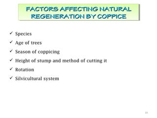  Species
 Age of trees
 Season of coppicing
 Height of stump and method of cutting it
 Rotation
 Silvicultural system
19
FACTORS AFFECTING NATURALFACTORS AFFECTING NATURAL
REGENERATION BY COPPICEREGENERATION BY COPPICE
FACTORS AFFECTING NATURALFACTORS AFFECTING NATURAL
REGENERATION BY COPPICEREGENERATION BY COPPICE
 