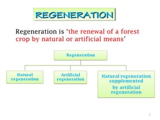 Regeneration is ‘the renewal of a forest
crop by natural or artificial means’
REGENERATIONREGENERATIONREGENERATIONREGENERATION
2
 