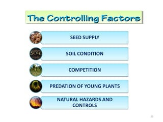The Controlling FactorsThe Controlling FactorsThe Controlling FactorsThe Controlling Factors
20
 