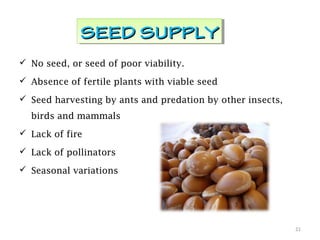  No seed, or seed of poor viability.
 Absence of fertile plants with viable seed
 Seed harvesting by ants and predation by other insects,
birds and mammals
 Lack of fire
 Lack of pollinators
 Seasonal variations
SEED SUPPLYSEED SUPPLYSEED SUPPLYSEED SUPPLY
21
 