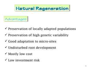 Natural RegenerationNatural RegenerationNatural RegenerationNatural Regeneration
 Preservation of locally adapted populations
 Preservation of high genetic variability
 Good adaptation to micro-sites
 Undisturbed root development
 Mostly low cost
 Low investment risk
26
AdvantagesAdvantages
 
